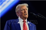 Tổng thống Trump tiết lộ nhân vật có thể trở thành tân Cố vấn An ninh quốc gia Mỹ