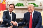 Tổng thống Trump gặp Tổng thư ký NATO và câu chuyện chuyển vũ khí cho Ukraine