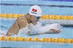 SEA Games 33: Bơi Việt Nam khẳng định vị thế hàng đầu khu vực
