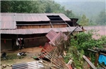 Lào Cai: Khẩn trương khắc phục hậu quả do giông lốc, mưa đá gây ra