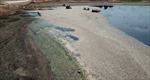 Hoàn thành vớt cá chết tại hồ Sông Mây (Đồng Nai)