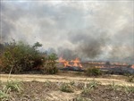 Đang cháy hàng chục ha rừng và ruộng mía tại Khánh Hòa