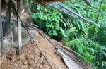 Mưa lớn kéo dài gây nhiều thiệt hại về tài sản và hoa màu ở Yên Bái