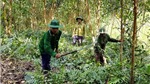 Hỗ trợ kinh phí phát triển sinh kế, cải thiện đời sống người dân vùng đệm các khu rừng đặc dụng