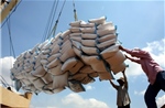 Xác minh thông tin doanh nghiệp xuất khẩu gạo bỏ thầu giá thấp