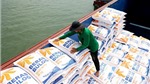 Nguồn cung tăng khiến giá gạo xuất khẩu đi xuống