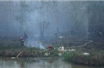 Đã cơ bản khống chế đám cháy tại Vườn Quốc gia Tràm Chim