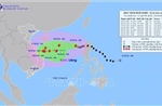 Chủ động ứng phó bão số 6 gây mưa lớn ở Trung Bộ và gió mạnh, sóng lớn trên biển