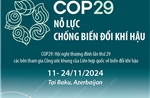 COP29 nỗ lực chống biến đổi khí hậu