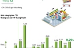 CPI tháng 12/2024 tăng 0,29%