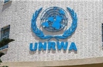 Cảnh báo tác động khi UNRWA ngừng hoạt động đối với trẻ em Palestine