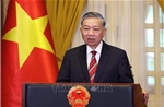 Tổng Bí thư Tô Lâm làm Trưởng Ban Chỉ đạo Trung ương về hoàn thiện thể chế, pháp luật