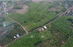 Phương án đầu tư tuyến đường kết nối tỉnh Bình Phước và tỉnh Đồng Nai qua cầu Mã Đà