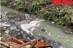 Hà Nội: Khẩn trương xử lý ô nhiễm môi trường kênh mương giữa khu dân cư