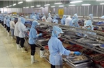 Bốn tháng đầu năm, Việt Nam xuất siêu 3,79 tỷ USD