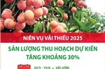 Niên vụ vải thiều 2025: Sản lượng thu hoạch dự kiến tăng khoảng 30%