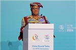 Tổng Giám đốc WTO: Thương mại tự do toàn cầu đang lâm vào khủng hoảng