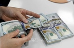 Tỷ giá hôm nay 14/5: Các ngân hàng giảm nhẹ giá USD và NDT