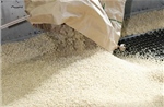 Thị trường nông sản: Gạo Mỹ chiếm lĩnh thị trường Nhật Bản