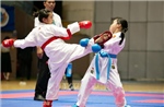 Giải Karate các câu lạc bộ tỉnh Hải Dương