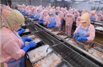 Hoa Kỳ công bố kết quả sơ bộ về thuế chống bán phá giá với tôm Việt