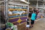 &#39;Hút khách&#39; từ quy hoạch 3 vùng du lịch sinh thái