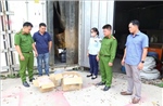 Xử lý các hành vi vi phạm pháp luật ở Bình Dương, Hà Giang