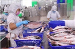 Việt Nam - Brazil: Nhiều dư địa hợp tác kinh tế thương mại