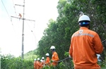 Sự cố chập điện trên đường dây 110kV Nông Cống - Nghi Sơn đã được khắc phục 