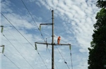 Sự cố chập điện trên đường dây 110kV Nông Cống - Nghi Sơn đã được khắc phục 