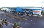 Chuẩn bị khởi công đường hạ cất cánh Cảng hàng không Cà Mau