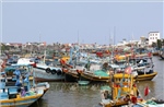 Siết chặt quản lý tàu cá, quyết liệt chống khai thác IUU