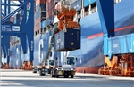 Bộ Công Thương ban hành bộ thủ tục hành chính mới trong lĩnh vực xuất nhập khẩu