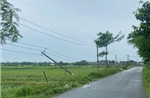 Hàng chục nghìn hộ dân ở Đồng Nai bị cúp điện sau trận dông lốc mạnh