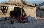 Palestine yêu cầu Liên đoàn Arab họp khẩn về khủng hoảng Gaza