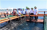 Phát triển kinh tế tư nhân: Động lực mới ở Khánh Hòa