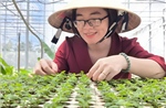 Ứng dụng công nghệ nuôi cấy mô trong sản xuất cây giống, hoa kiểng quy mô lớn