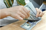 Tỷ giá hôm nay 29/7: Giá USD tăng vượt mốc 26.000 VND/USD