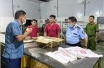 Phát hiện hàng nghìn con lợn đông lạnh chưa rõ nguồn gốc