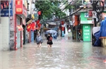 Hà Nội: Triển khai hộ đê, đảm bảo an toàn đê điều ứng phó với lũ