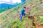 Nghệ An: Phát hiện vết nứt dài hơn 100m trên sườn đồi đe dọa an toàn người dân
