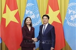 Chủ tịch nước tiếp Điều phối viên Thường trú và các Trưởng đại diện các tổ chức LHQ tại Việt Nam