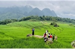 Phát triển du lịch gắn với tăng trưởng xanh, bền vững