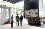Xử lý nghiêm các đối tượng vi phạm pháp luật