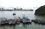 Quảng Ninh hoàn tất công tác phòng, chống bão trước 17h ngày 24/9