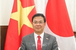 Đẩy mạnh hợp tác nghị viện để làm sâu sắc thêm quan hệ Đối tác Chiến lược Toàn diện Việt Nam - Nhật Bản