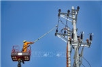Bão số 10: Công ty Điện lực Điện Biên hỗ trợ tỉnh Hà Tĩnh khắc phục lưới điện