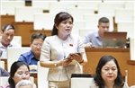 Làm rõ vai trò giáo dục nghề nghiệp trong định hướng phân luồng học sinh