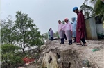 Vĩnh Long nhiều tuyến đê bao ven sông Cổ Chiên sạt lở nghiêm trọng