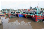 Hải Phòng: Đảm bảo an toàn đê điều, chủ động ứng phó bão MATMO